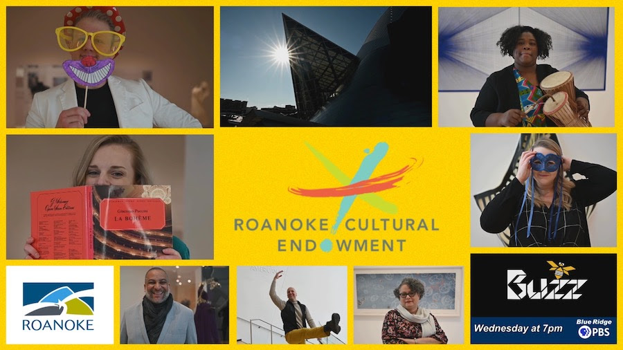 Roanoke Cultural Endowment Receives ARPA Grant Funds from the City of Roanoke to Spotlight Arts Impact